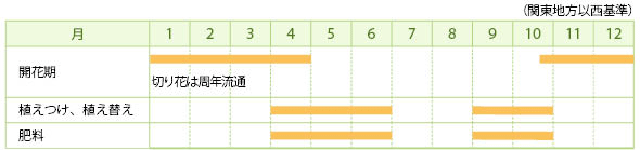 ブバルディアの栽培カレンダー