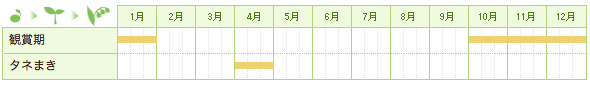 フユサンゴの栽培カレンダー