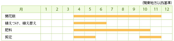 イオクロマの栽培カレンダー