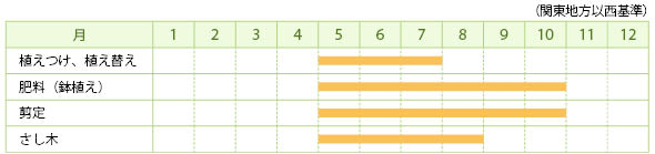 ヨウシュコバンノキの栽培カレンダー