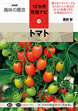 トマトの種類 原種 品種 植物図鑑 みんなの趣味の園芸 Nhk出版
