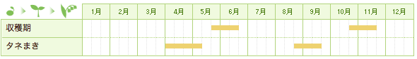 ダイコン（大根）の栽培カレンダー