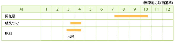 シュウカイドウの栽培カレンダー