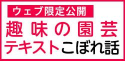 趣味の園芸こぼれ話