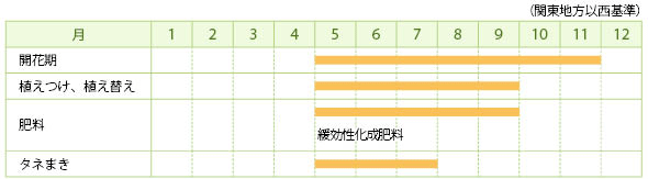 ノゲイトウの栽培カレンダー