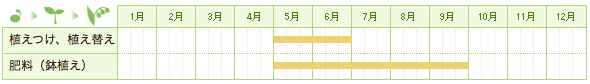 バンダの栽培カレンダー