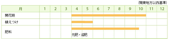 ブルーファンフラワーの栽培カレンダー