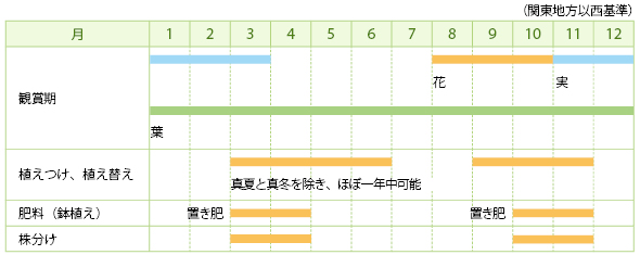 ヤブラン（リリオペ）の栽培カレンダー