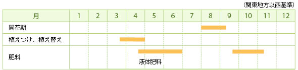 アサギリソウの栽培カレンダー