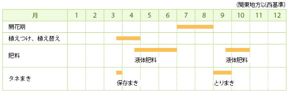 ヤナギランの栽培カレンダー