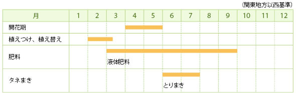 ヤマブキソウの栽培カレンダー