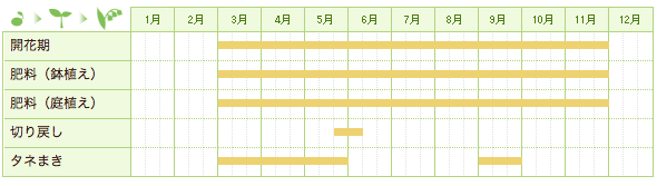 ペチュニアの栽培カレンダー