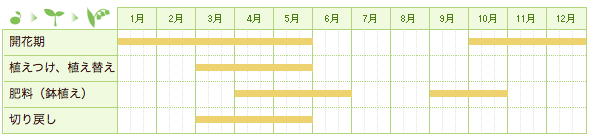レシュノルティア（初恋草）の栽培カレンダー