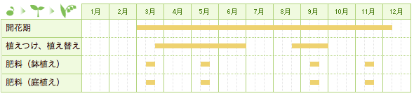 ゼラニウム（ゼラニューム）の栽培カレンダー