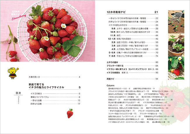 12か月栽培ナビ シリーズ新刊 イチゴ 発売 年間の作業と管理をナビゲート みんなの趣味の園芸 Nhk出版 トピック ニュース