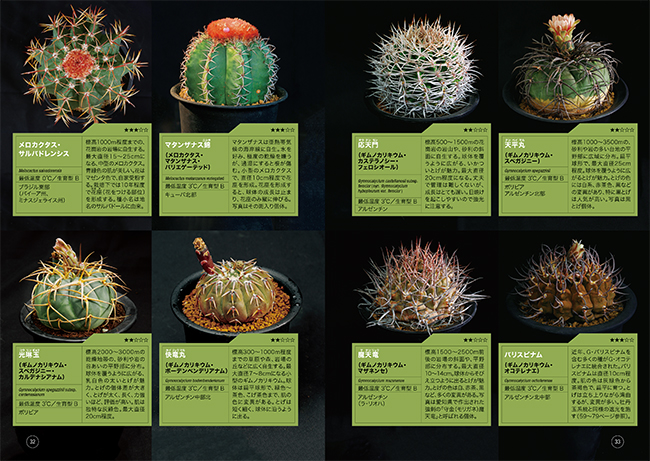 12か月栽培ナビ Neo サボテン これ一冊でサボテン栽培のすべてがわかる みんなの趣味の園芸
