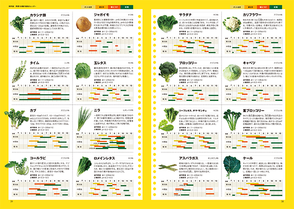 育ててみたい おもしろ野菜大集合 野菜100種栽培カレンダー ジャガイモ 茎ブロッコリー やさいの時間 3月号 みんなの趣味の園芸