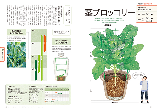育ててみたい おもしろ野菜大集合 野菜100種栽培カレンダー ジャガイモ 茎ブロッコリー やさいの時間 3月号 みんなの趣味の園芸
