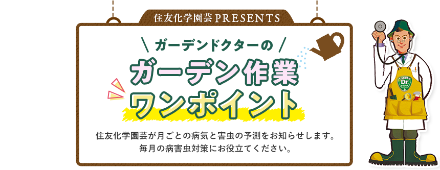 ゆり 病気 わた わたゆりの病気や障害って何？年齢や大学、馴れ初めについても！