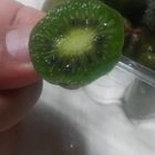 はじめて食べたサルナシ🥝  めっちゃキウ...