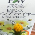 PW ビデンス キャンプファイヤーレモン...