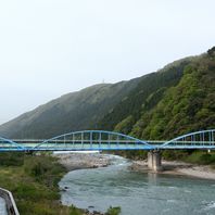 ヤマブキ　写真