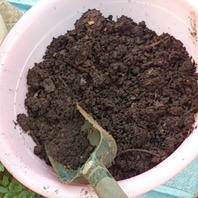 赤玉土これは大粒 おおざっぱな用土の話と鉢の使い方 そだレポ みんなの趣味の園芸