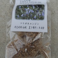 ツリガネニンジン シャジンの仲間の種類 原種 品種 植物図鑑 みんなの趣味の園芸 Nhk出版