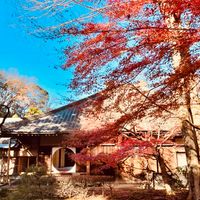 冬の鎌倉 お天気が良かった昨日は、十年...