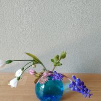 青い小瓶に小さな花を🎵  ムスカリ、ニワ...