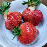 初収穫のいちご🍓