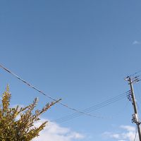 久しぶりの青空で風もなくとてもいいお...