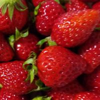 イチゴ🍓ボチボチいちごのシーズン! 少し...