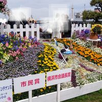 花壇展202404市民賞、横浜市会議長賞