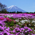 花のある風景