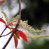 路傍で出会った花々 ～彩の国狭山、そしてその近郊の街々での出会い～