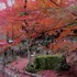 京都の庭園風景