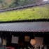 京都の庭園風景