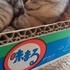 猫とともに。