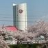 ☆魅惑の建造物☆