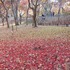 神代植物公園