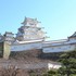 ２０１７年　近隣・お出かけ・旅先の花や風景