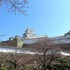 ２０１７年　近隣・お出かけ・旅先の花や風景