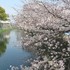 🍂出かけて眺めた植物色々🍂