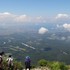 大山の植物と景色