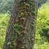 秋のダム湖周辺と、その近くの湿原を歩く