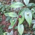 京都府立植物園の四季折々