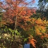 京都府立植物園の四季折々