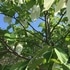 京都府立植物園の四季折々