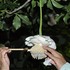 咲くやこの花館イベント集